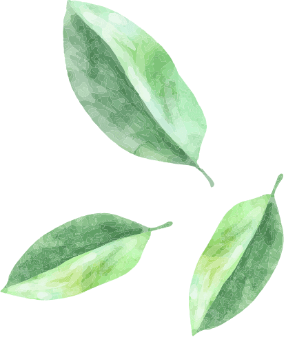 富山市の建設業サポート行政書士